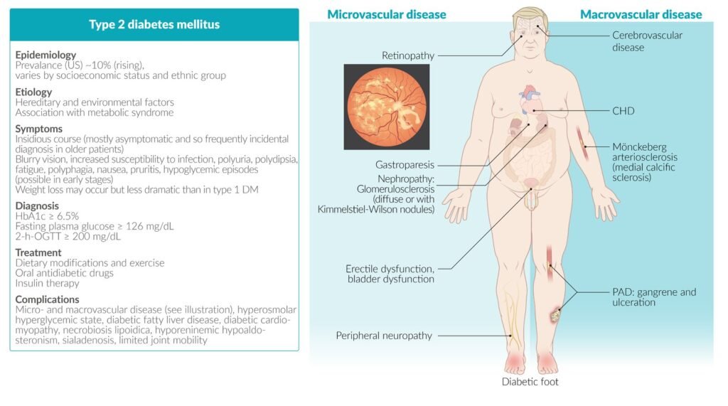 Tips and Strategies Diabetes Mellitus